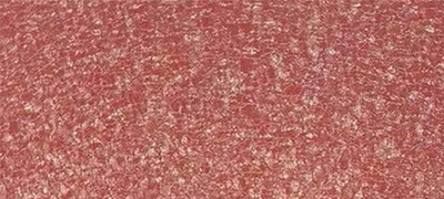 Prepainted galvanized steel Coil matter frosting